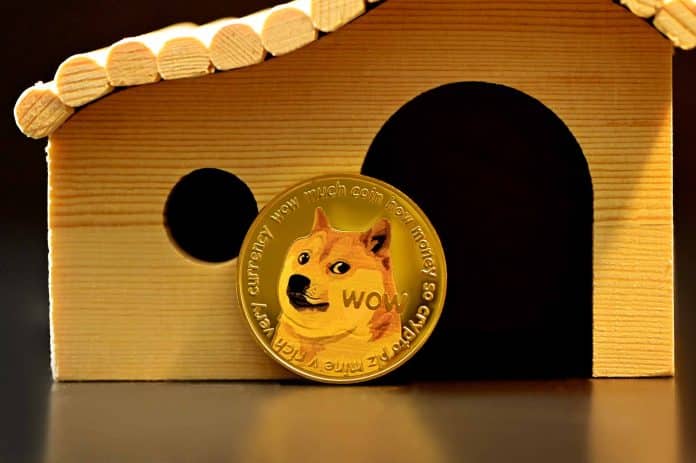 Die Krypto-Woche Bitcoin und Ethereum fallen mit Aktien – Dogecoin crasht 20%